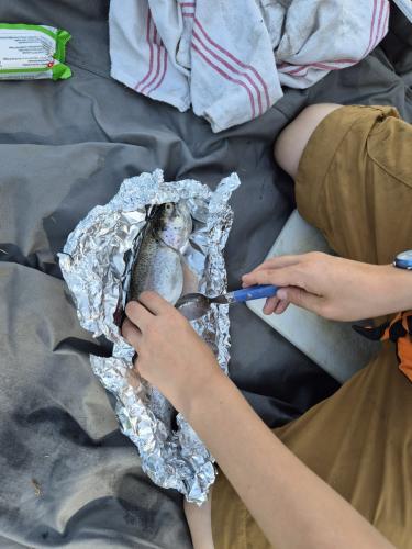 2024.07.15-23-Camp-dete-045