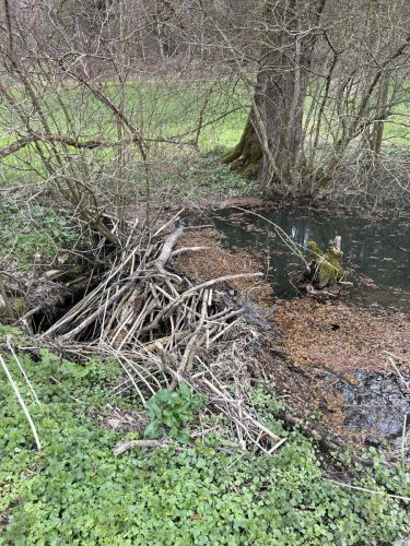 2026.03.28-Journee-de-lenvironnement-05