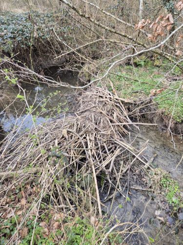 2026.03.28-Journee-de-lenvironnement-06