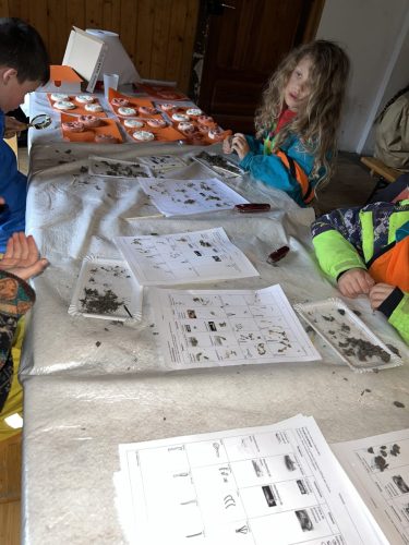 2026.03.28-Journee-de-lenvironnement-27